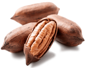 Pecan