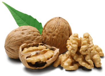 Walnut